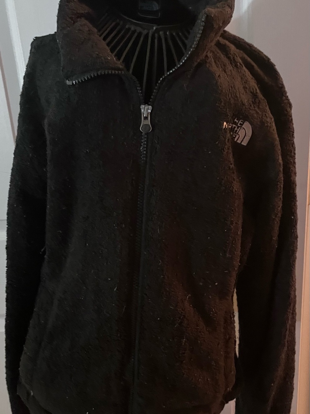 The North Face Black Teddy Fleece Jacket - Women's Zip Front